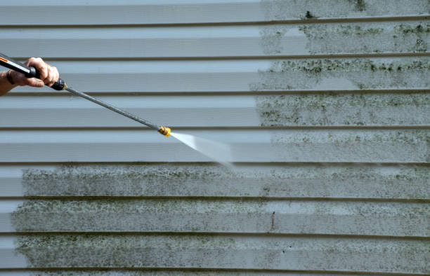 Best Pressure Washing Driveway  in , MT